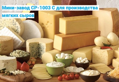 Сыроварня 1003 С (переработка 1000 кг молока в сутки)