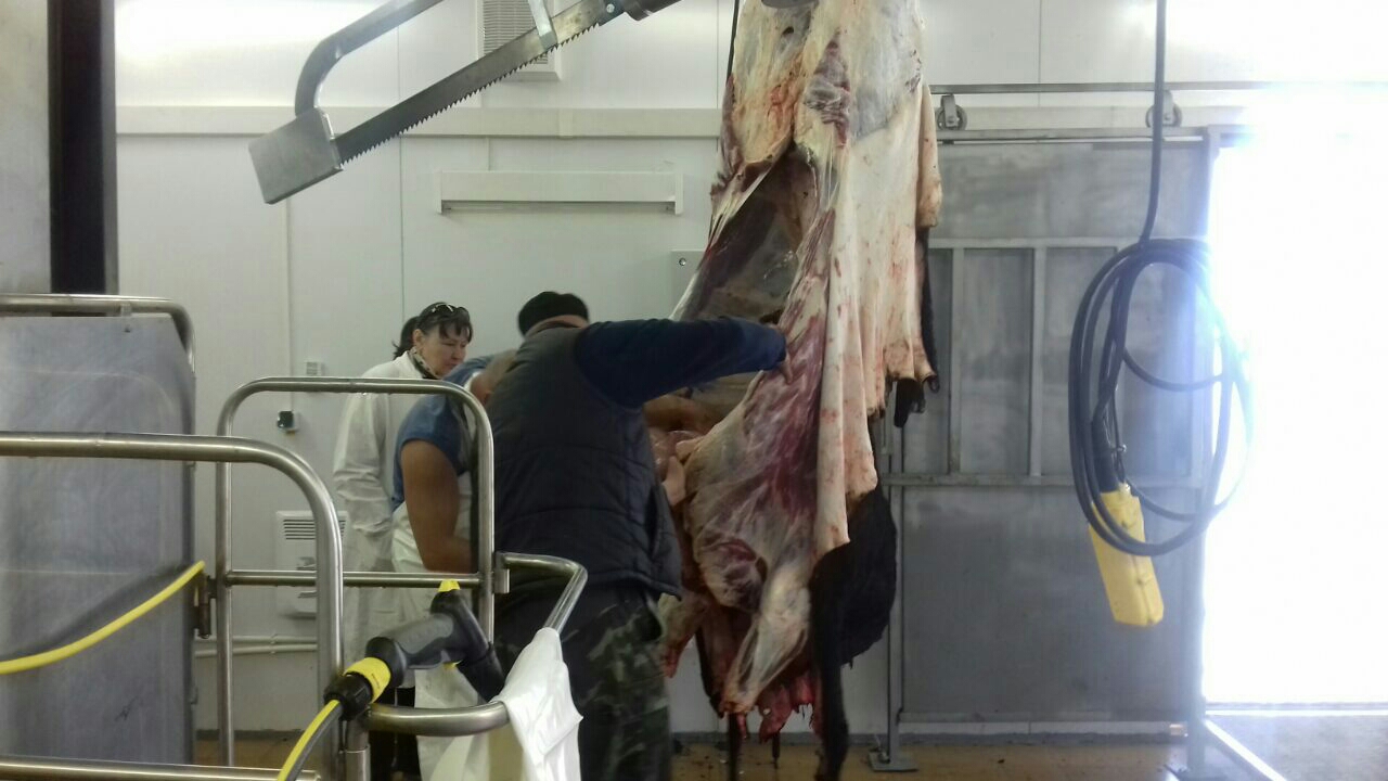 Открытие мясоперерабатывающего завода в Грузии