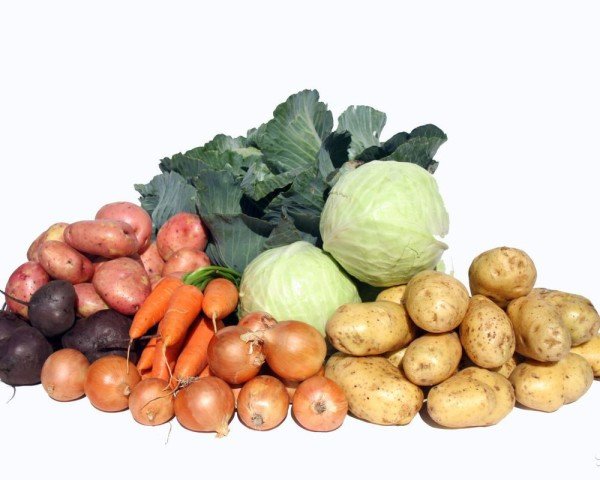 Машина мойки овощей и фруктов