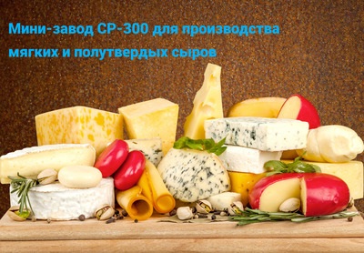 Сыроварня СР-300(300 кг. молока в сутки)